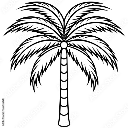 Areca Palm line art vector