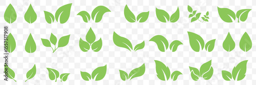 Green leaf icons set. Leaves icon on isolated Transparent background. Collection green leaf. Elements design for natural, eco, vegan, bio labels. Vector illustration EPS 10