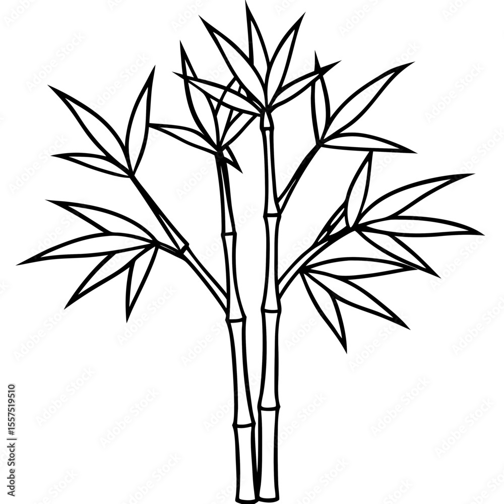 Obraz premium Bamboo line art vector