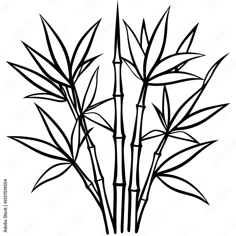 Fototapeta premium Bamboo line art vector