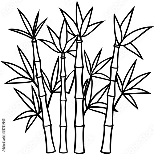 Bamboo line art vector