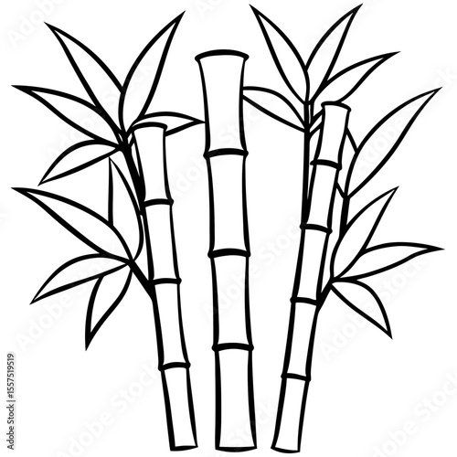Bamboo line art vector