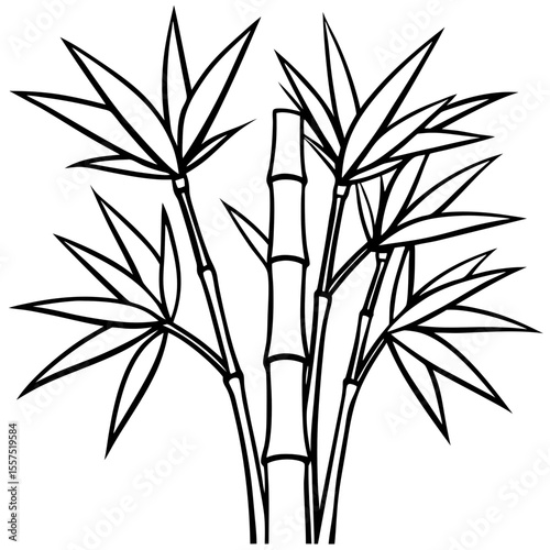 Bamboo line art vector