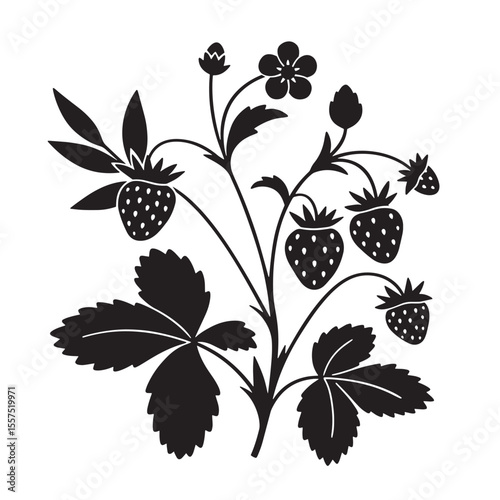 Vintage art silhouette of a strawberry plant depicting berries flowers and leaves