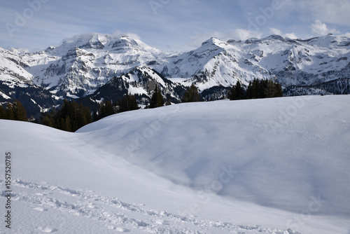 Au coeur de l'hiver dans l'Oberland bernois.  Suisse
