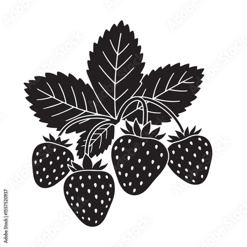 Vintage art silhouette of ripe strawberries with leaves a classic black and white illustration for design