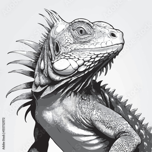 portrait of a iguana