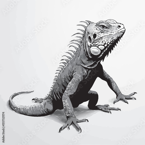 iguana vector illustration 