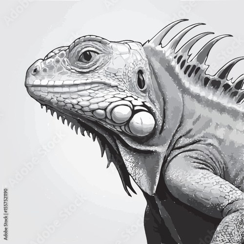 portrait of a iguana