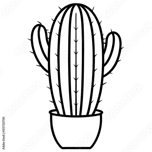 Cactus line art vector
