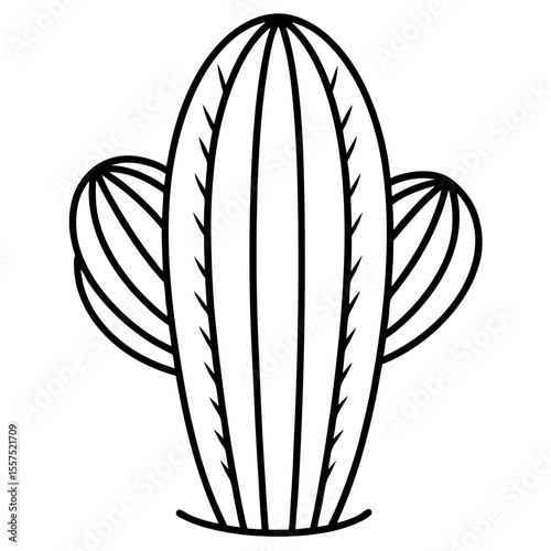 Cactus line art vector