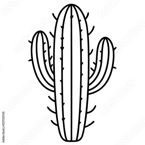 Cactus line art vector