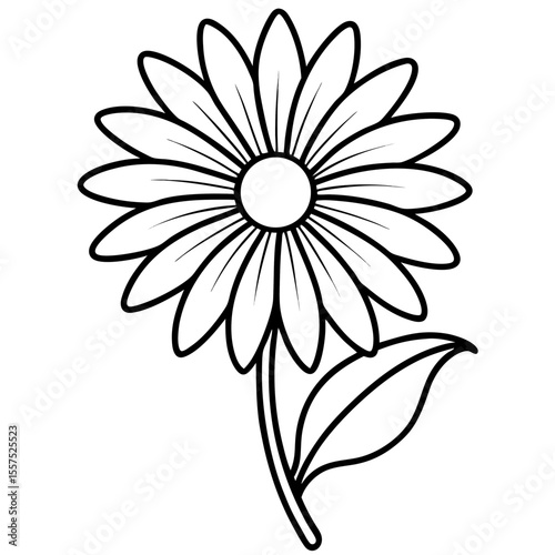 Daisy line art vector