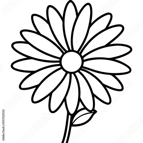 Daisy line art vector
