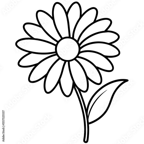 Daisy line art vector