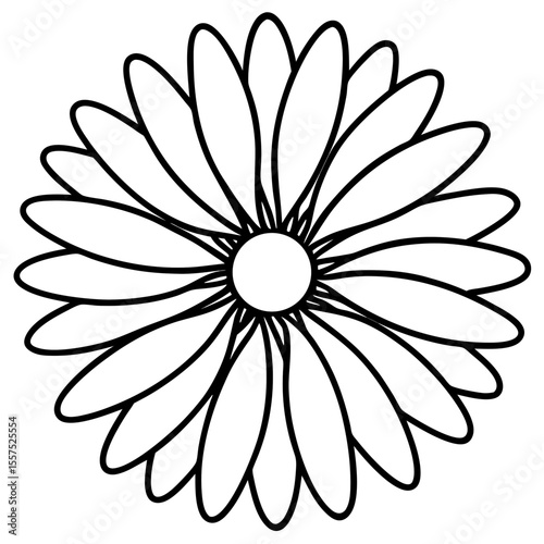 Daisy line art vector