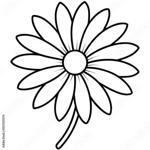 Daisy line art vector