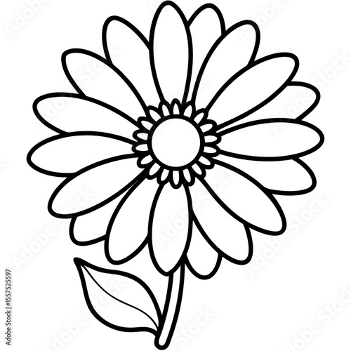 Daisy line art vector