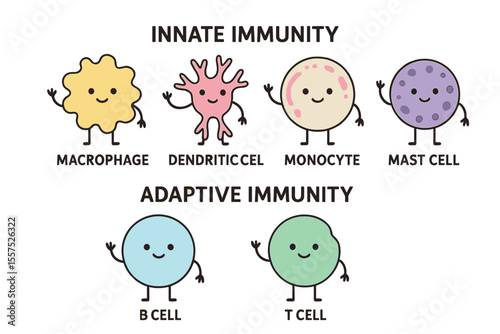 Types of cells in the immune system, including cartoon illustrations of macrophages, dendritic cells, monocytes, mast cells, B cells, and T cells, representing adaptive and innate immunity through a
