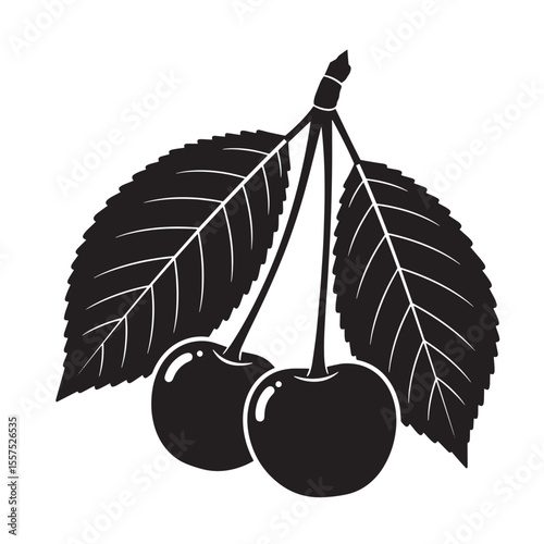 Black and white vintage art silhouette illustration of fresh cherries with leaves perfect for food design