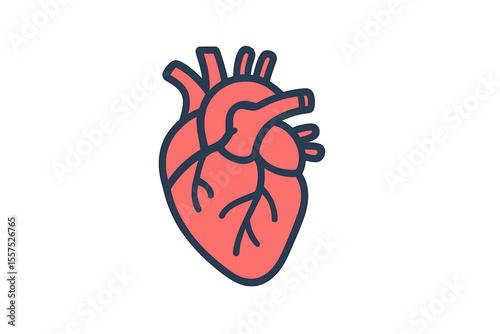 A thin line icon representing the human heart is presented in a modern vector illustration of a human organ