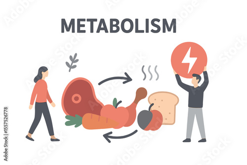 Illustration of metabolism vector, featuring tiny persons converting food into energy in a flat concept
