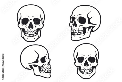 A collection of human skull illustrations set against a white backdrop, suitable for use in labels, emblems, signs, logos, and posters