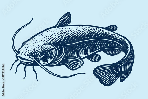 Catfish vintage woodcut sketch vector illustration