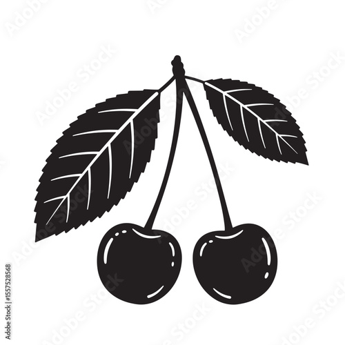 Elegant black and white cherry illustration perfect for vintage art silhouette designs
