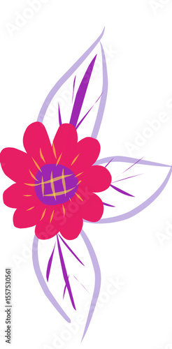 butterfly on a flower