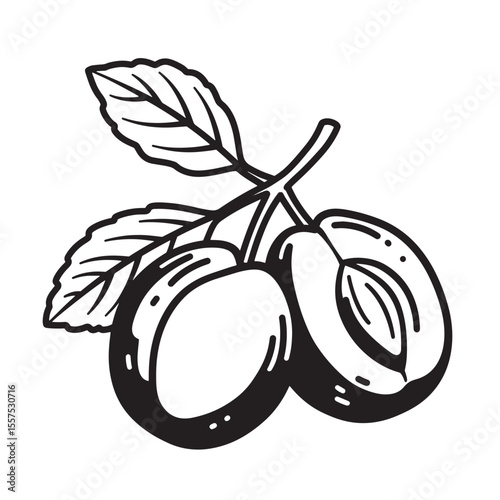 Simple vintage art silhouette of fresh plums with leaves in black and white