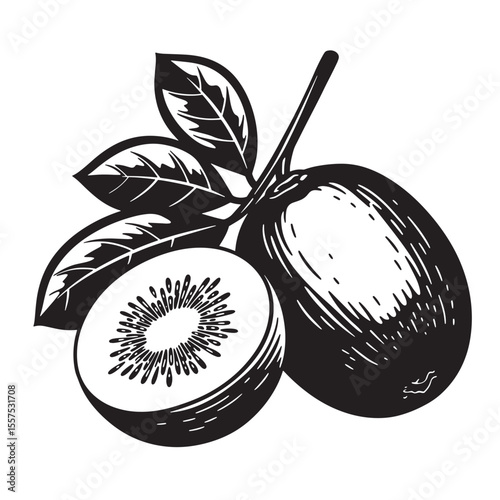 Vintage art silhouette illustration of a kiwi fruit whole and sliced with leaves showing detailed black and white design