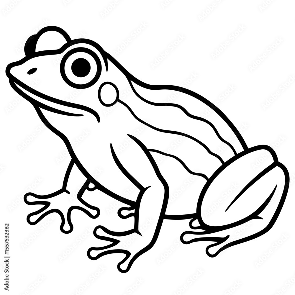 Naklejka premium Frog line art vector