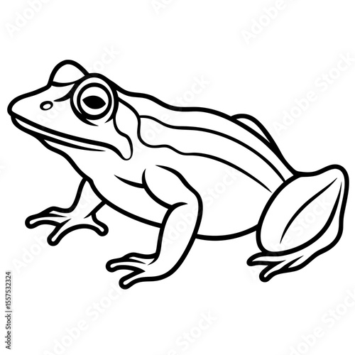 Frog line art vector