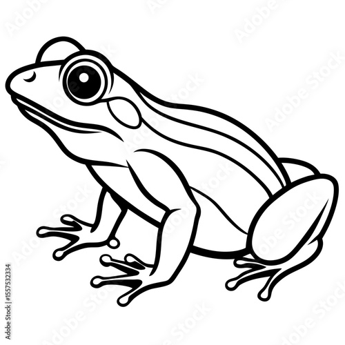 Frog line art vector