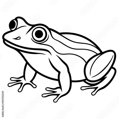 Frog line art vector