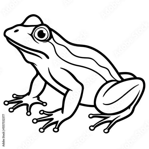 Frog line art vector