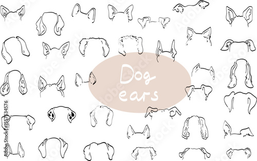 dog Ears.  Outline Drawing png set doodle sketch vector icon illustration