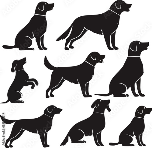 Elegant Labrador Retriever Animals Silhouette Set A Collection of Sitting, Standing, and Walking Dog Silhouettes on White Background