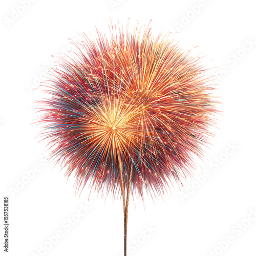 Vibrant Fireworks Display A Stunning Celebration in the Sky white background against transparent Background