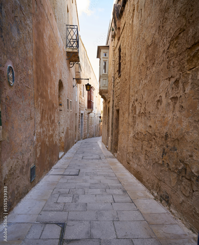 Obraz premium narrow street in the old town
