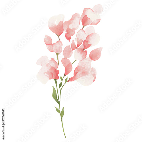 Fototapeta Naklejka Na Ścianę i Meble -  A watercolor bouquet of blush and ivory blooms with soft petals and slender green stems expressing gentle beauty, harmony, and the natural elegance of floral still life