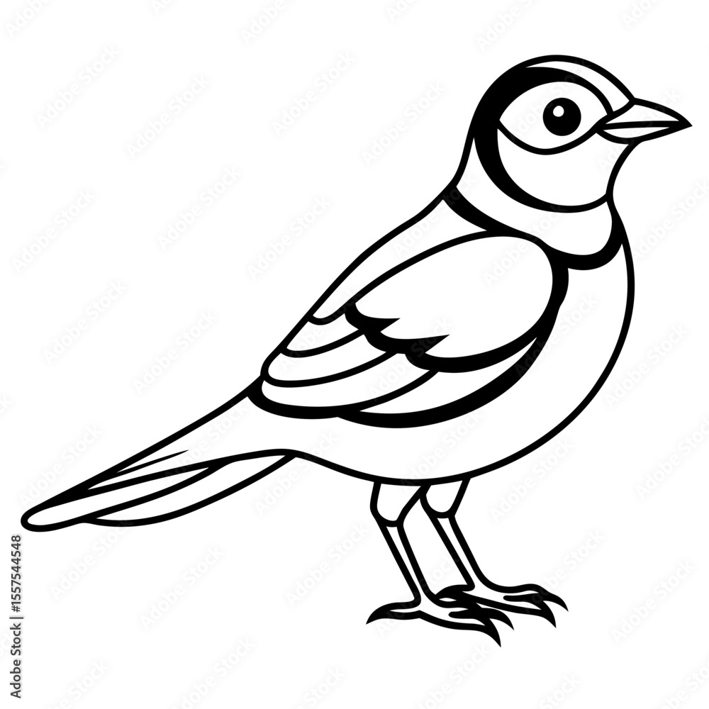 Fototapeta premium Lark line art vector