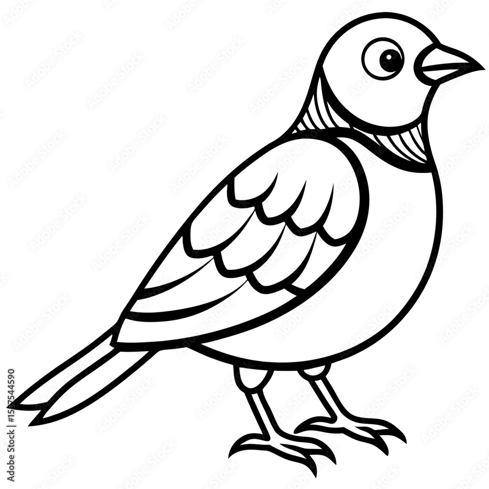 Fototapeta premium Lark line art vector