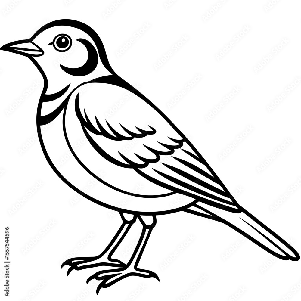 Obraz premium Lark line art vector