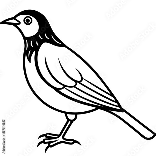 Lark line art vector