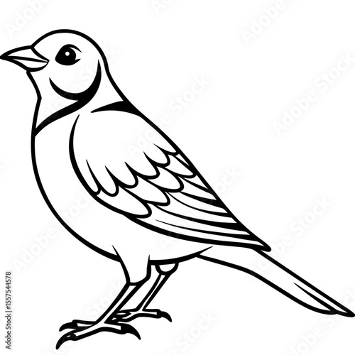 Lark line art vector