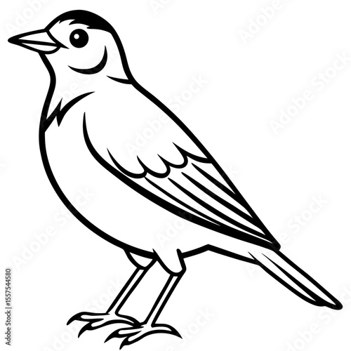 Lark line art vector
