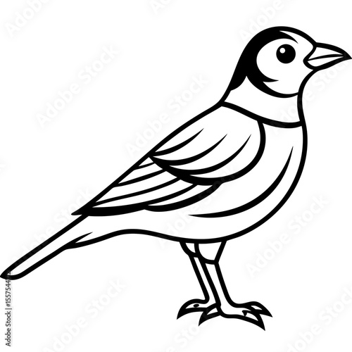 Lark line art vector