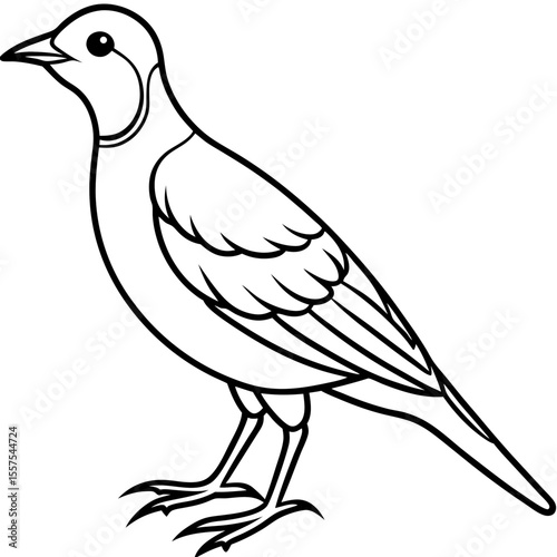 Lark line art vector